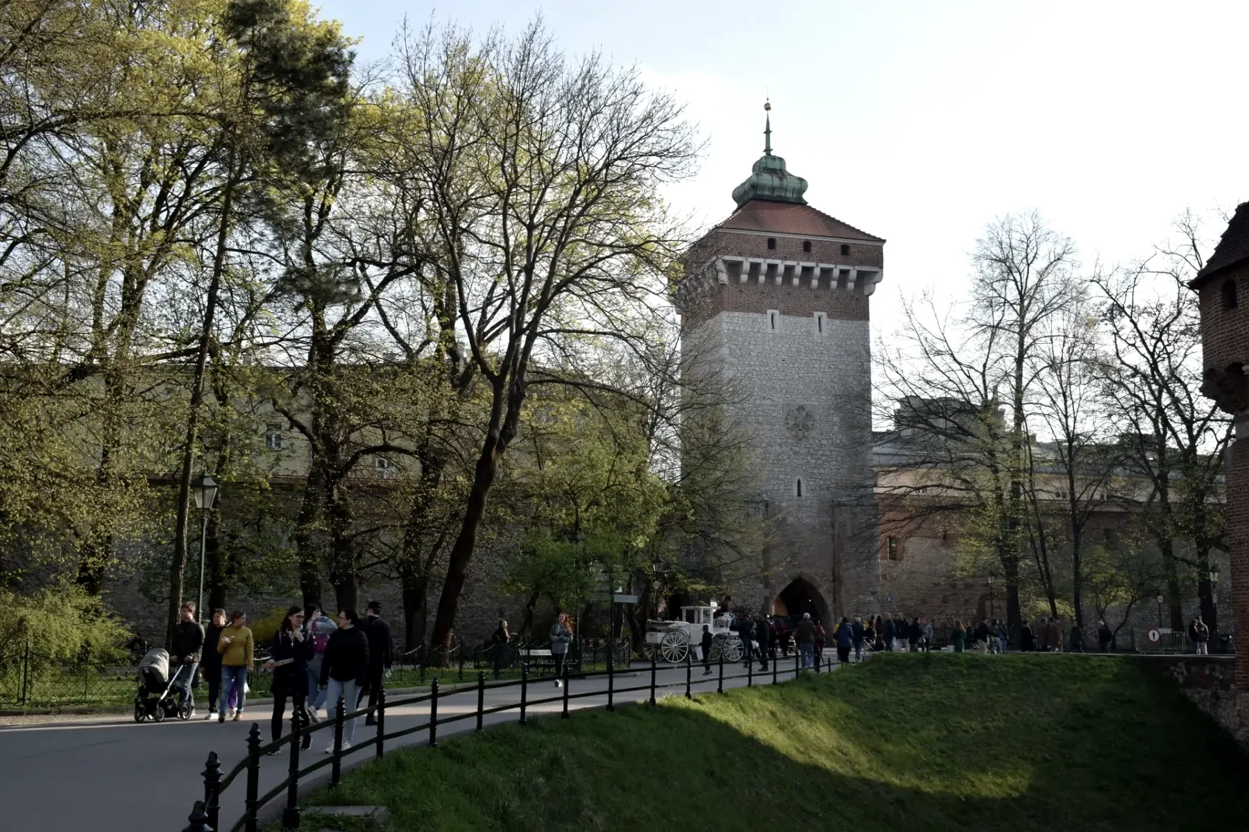 Zdjęcie testowe pierwszego posta.